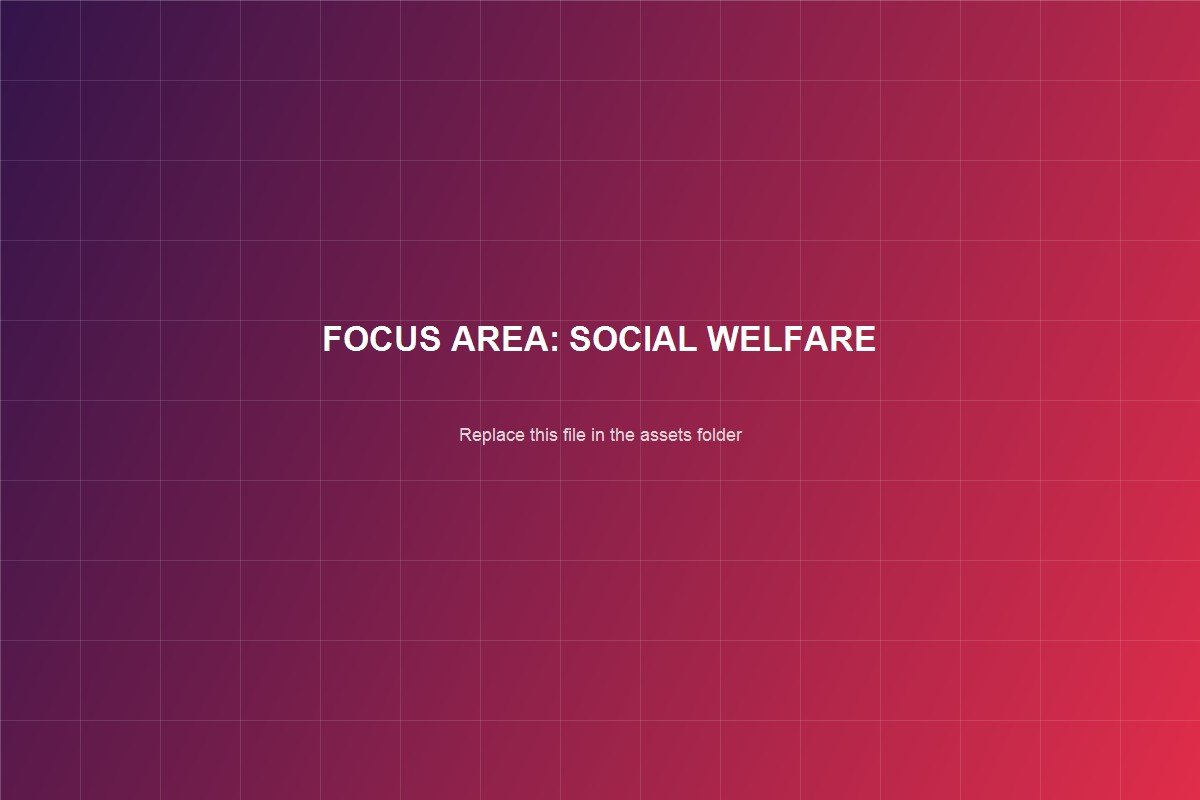 PlanB Foundation social welfare focus area